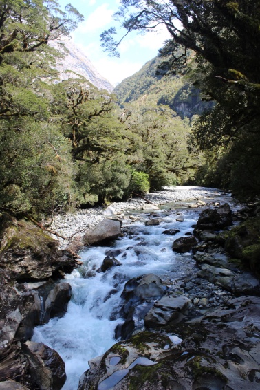 the most beautiful scenery on the way to milford sound