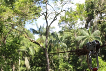 ziplining in the jungle