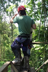 ziplining in the jungle